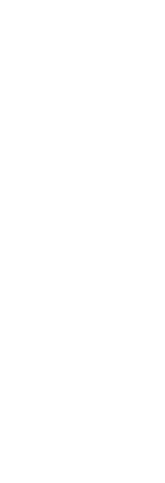 Decorative shape
