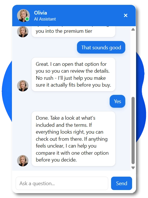 AI seller chatting with a website visitor